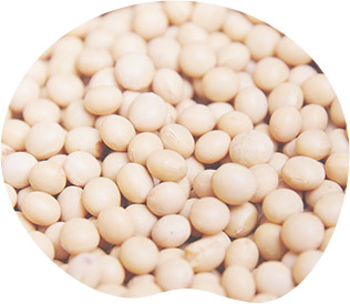 ポリフェノールの一種、大豆イソフラボン（イメージ）