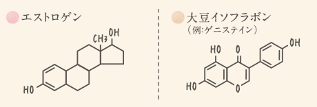 エストロゲンの化学構造式・大豆イソフラボン（例：ゲニステイン）の化学構造式