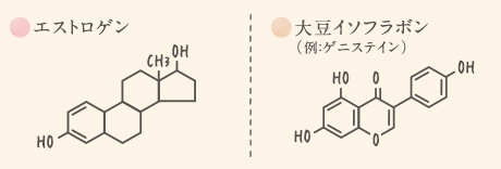 成分：大豆イソフラボン｜つがるの木村の畑から