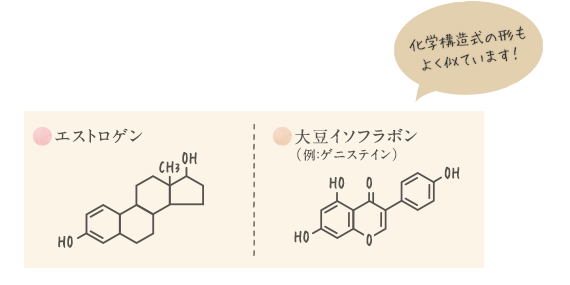 大豆の胚芽・エストロゲンと大豆イソフラボン（例：ゲニステイン）の化学構造式の形はよく似ています！